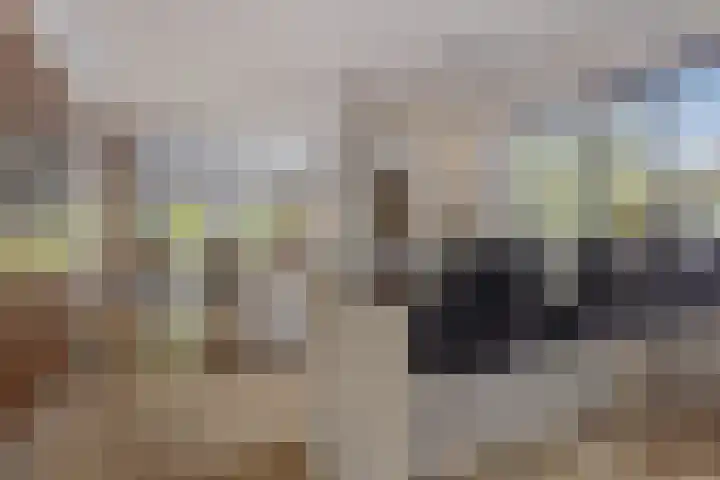 Strijpsebaan 2 Veldhoven thumbnail 24