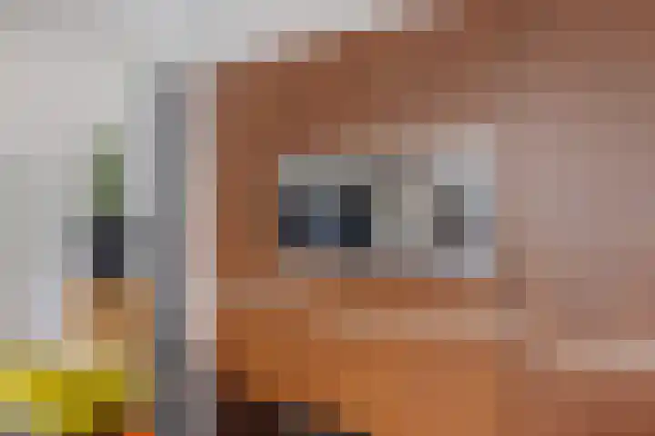 Strijpsebaan 2 Veldhoven thumbnail 26
