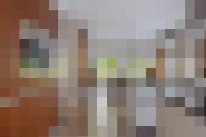 Strijpsebaan 2 Veldhoven thumbnail 27