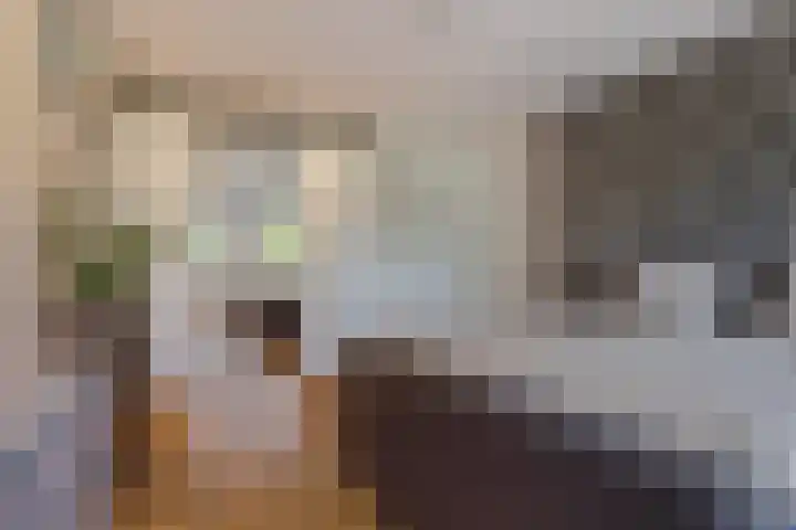 Strijpsebaan 2 Veldhoven thumbnail 33