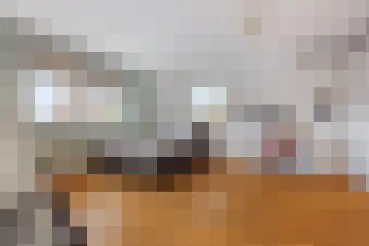 Strijpsebaan 2 Veldhoven thumbnail 36