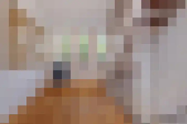 Strijpsebaan 2 Veldhoven thumbnail 39