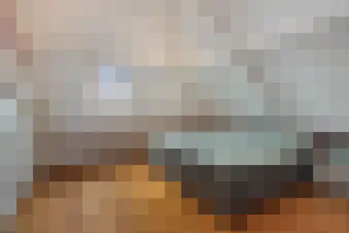 Strijpsebaan 2 Veldhoven thumbnail 48
