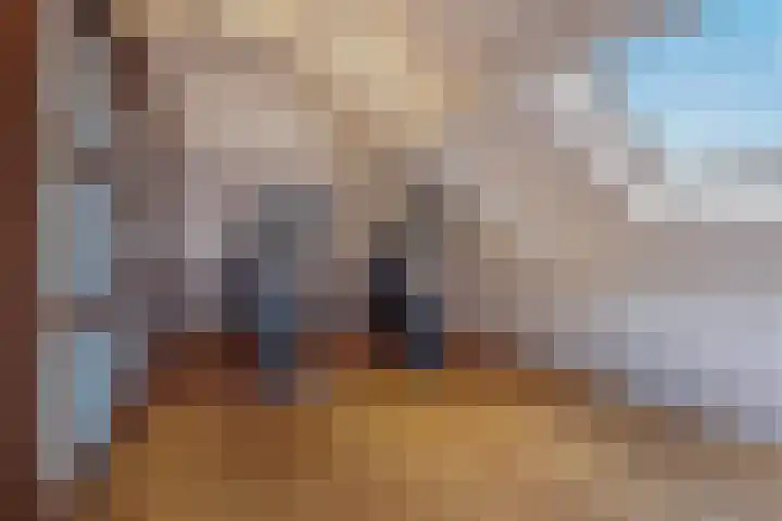 Strijpsebaan 2 Veldhoven thumbnail 50