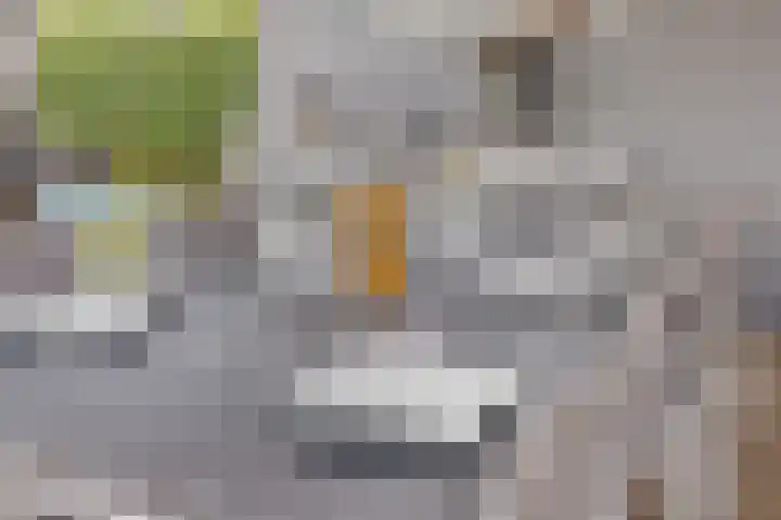 Strijpsebaan 2 Veldhoven thumbnail 62