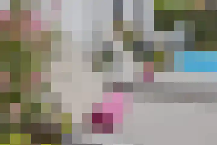 Strijpsebaan 2 Veldhoven thumbnail 66