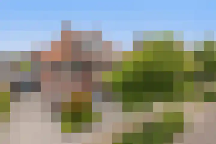 Strijpsebaan 2 Veldhoven thumbnail 67