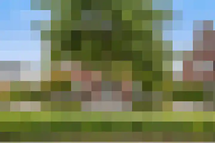 Strijpsebaan 2 Veldhoven thumbnail 68