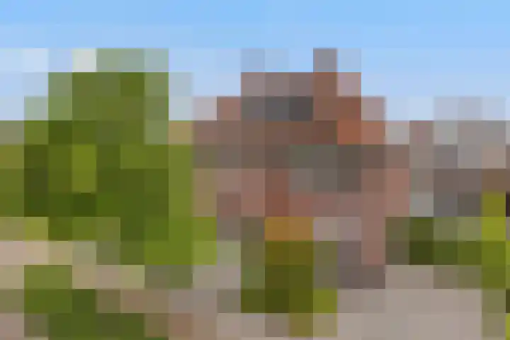 Strijpsebaan 2 Veldhoven thumbnail 70