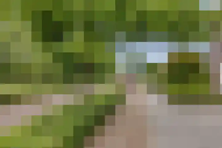 Strijpsebaan 2 Veldhoven thumbnail 71