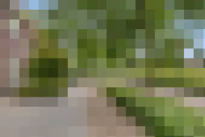 Strijpsebaan 2 Veldhoven thumbnail 72