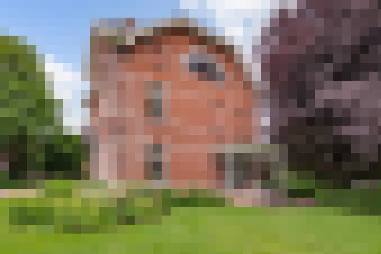 Strijthagerweg 15 Landgraaf thumbnail 54