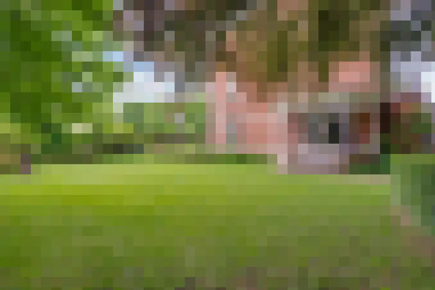 Strijthagerweg 15 Landgraaf thumbnail 55