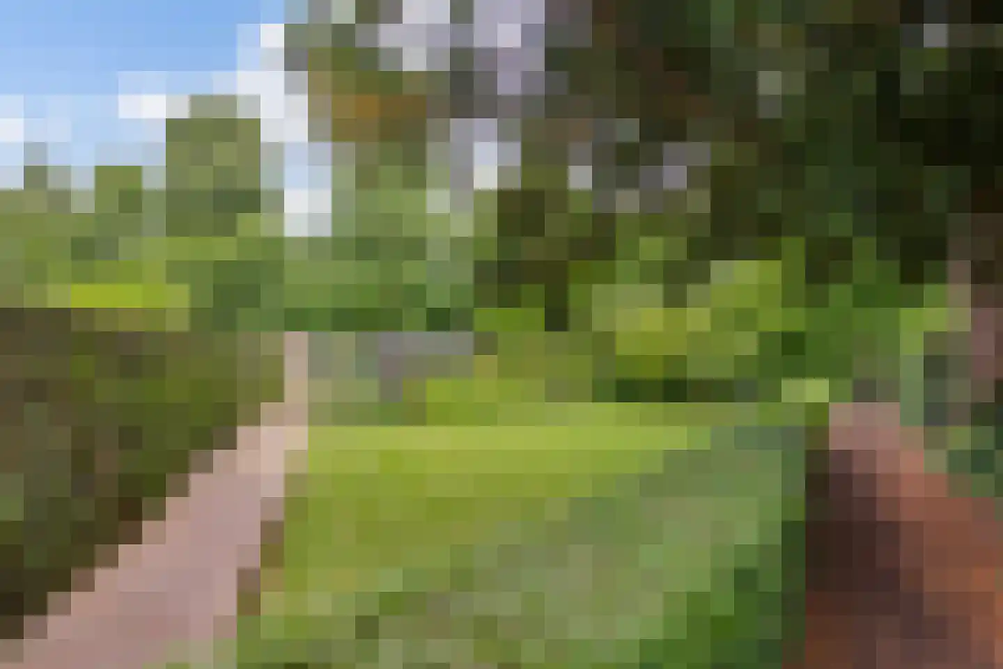Strijthagerweg 15 Landgraaf thumbnail 68