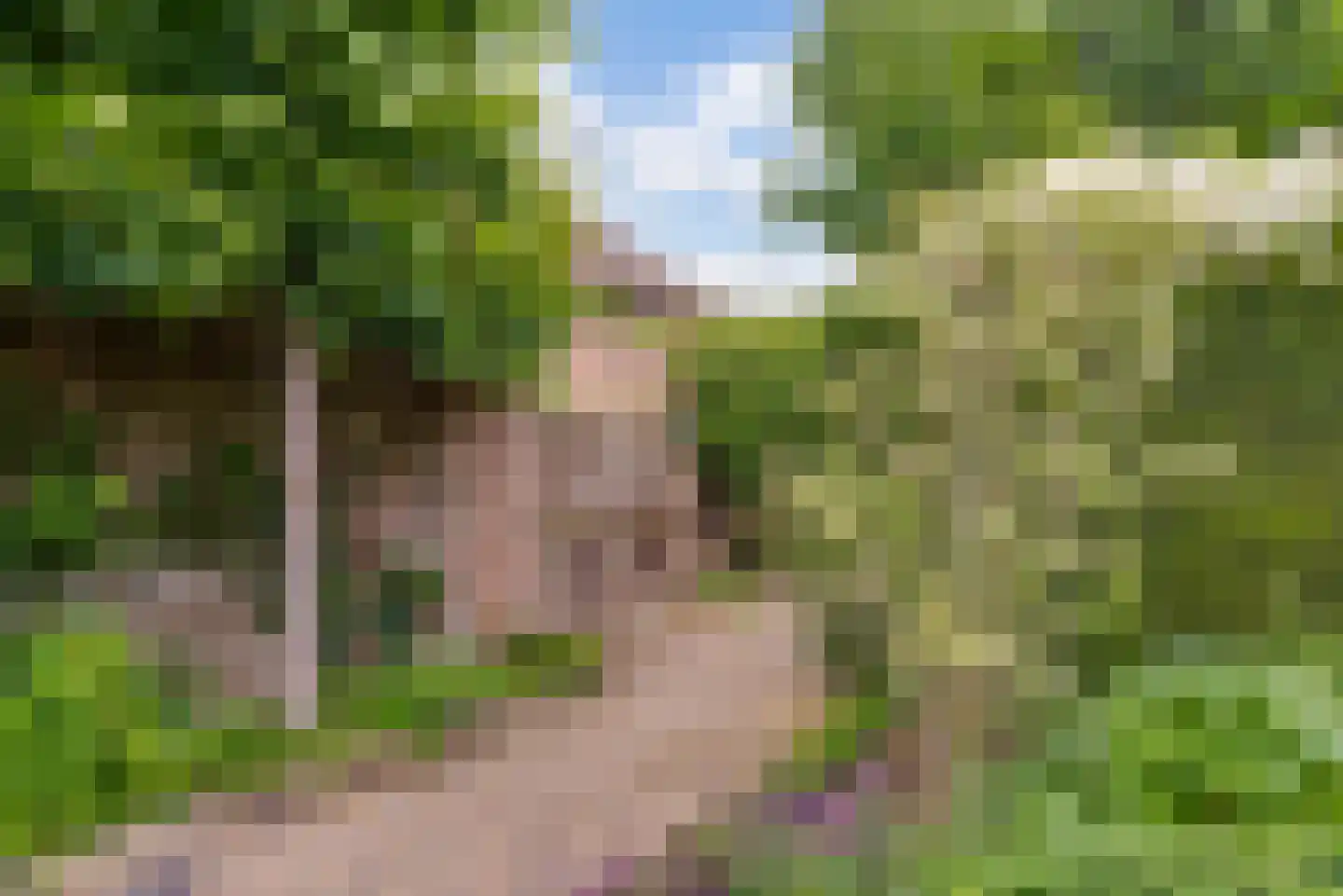 Strijthagerweg 15 Landgraaf thumbnail 70