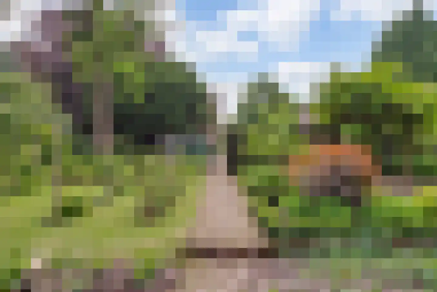 Strijthagerweg 15 Landgraaf thumbnail 72