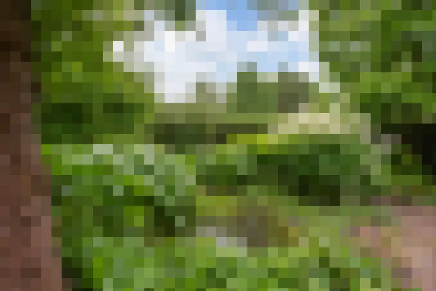 Strijthagerweg 15 Landgraaf thumbnail 73