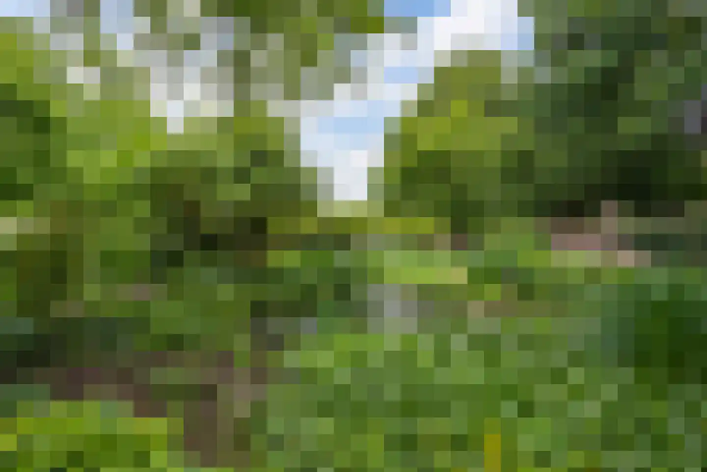 Strijthagerweg 15 Landgraaf thumbnail 77