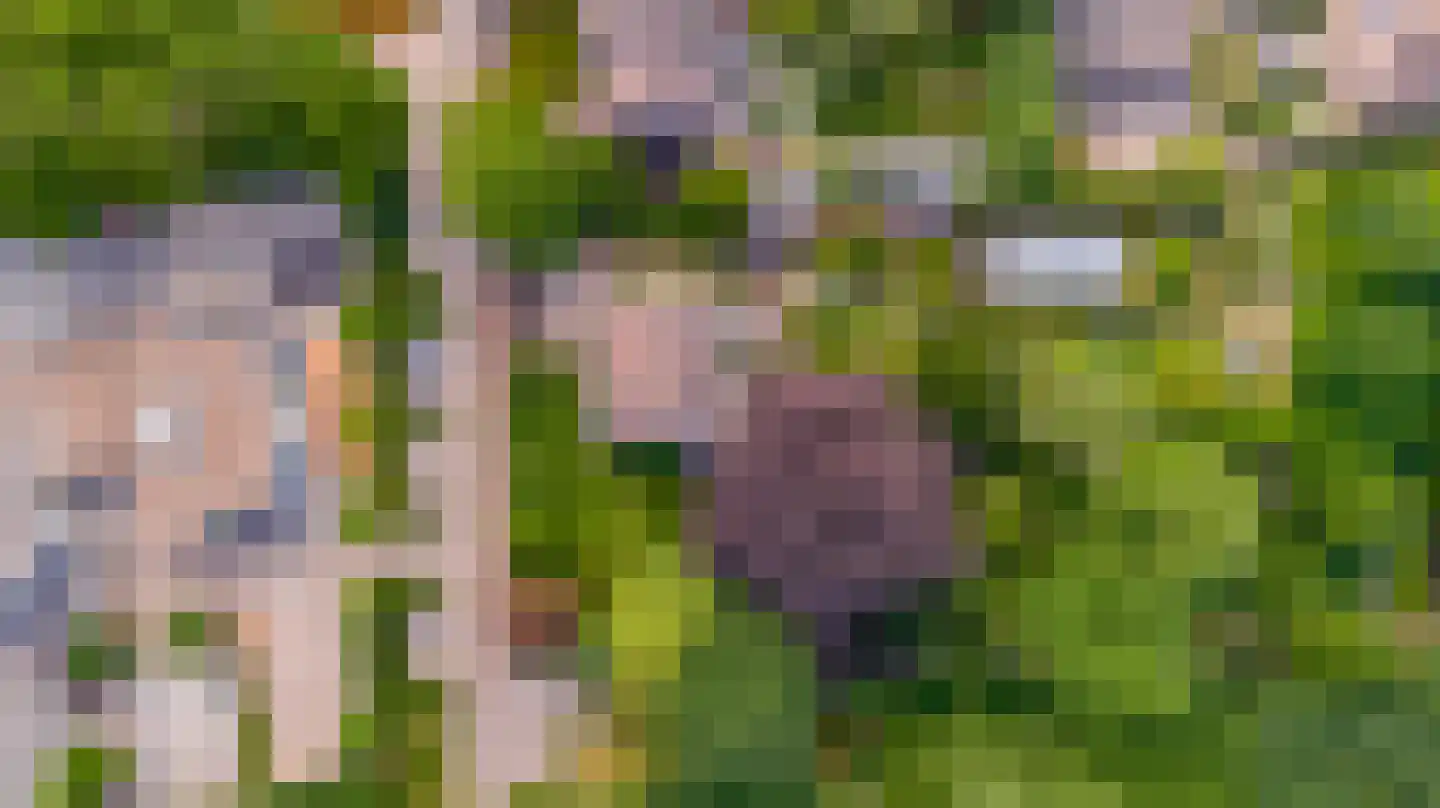 Strijthagerweg 15 Landgraaf thumbnail 83