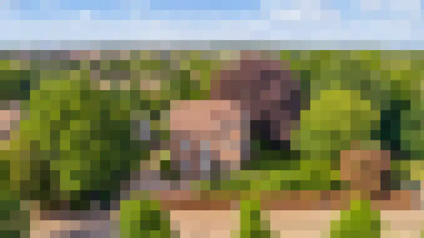 Strijthagerweg 15 Landgraaf thumbnail 85