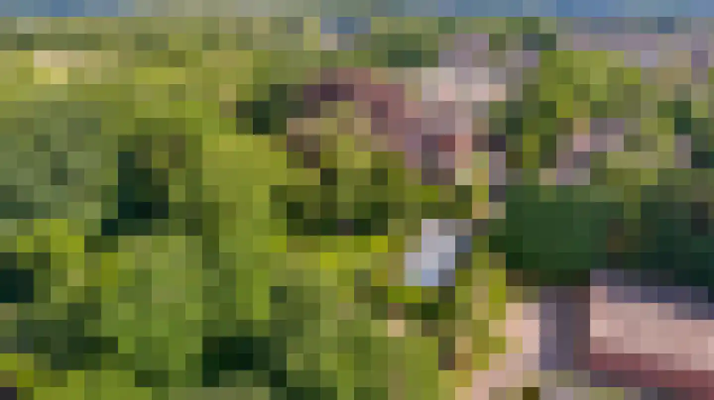 Strijthagerweg 15 Landgraaf thumbnail 87