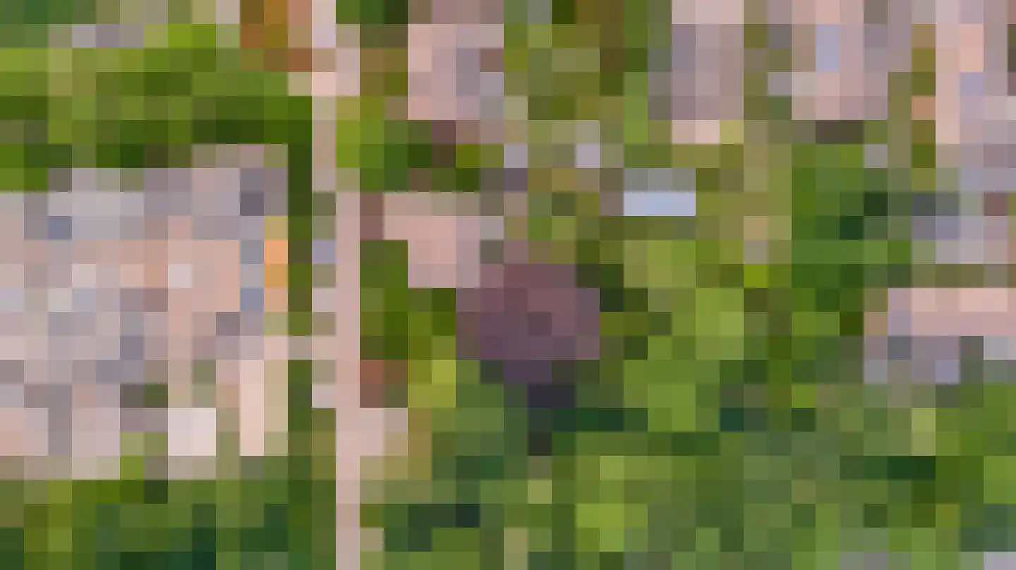 Strijthagerweg 15 Landgraaf thumbnail 88