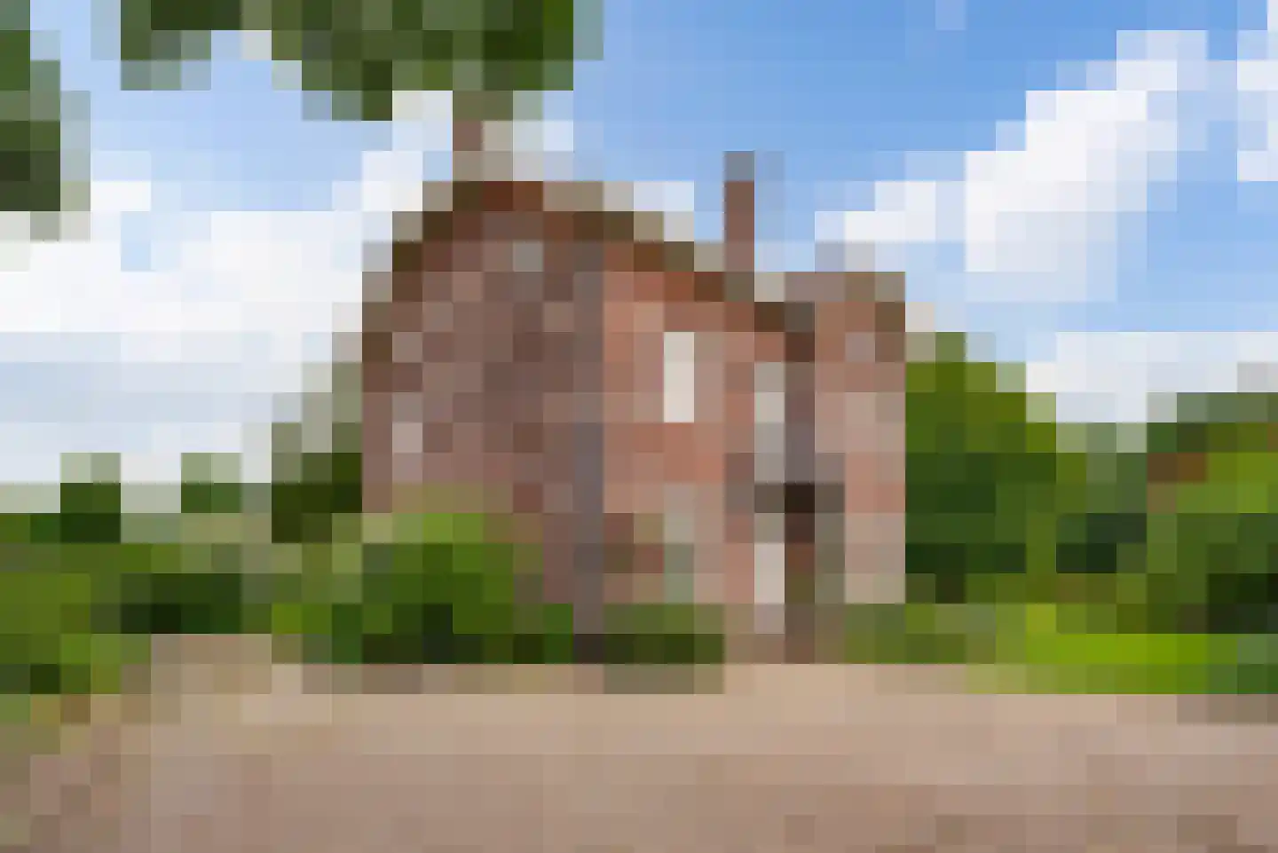 Strijthagerweg 15 Landgraaf thumbnail 91