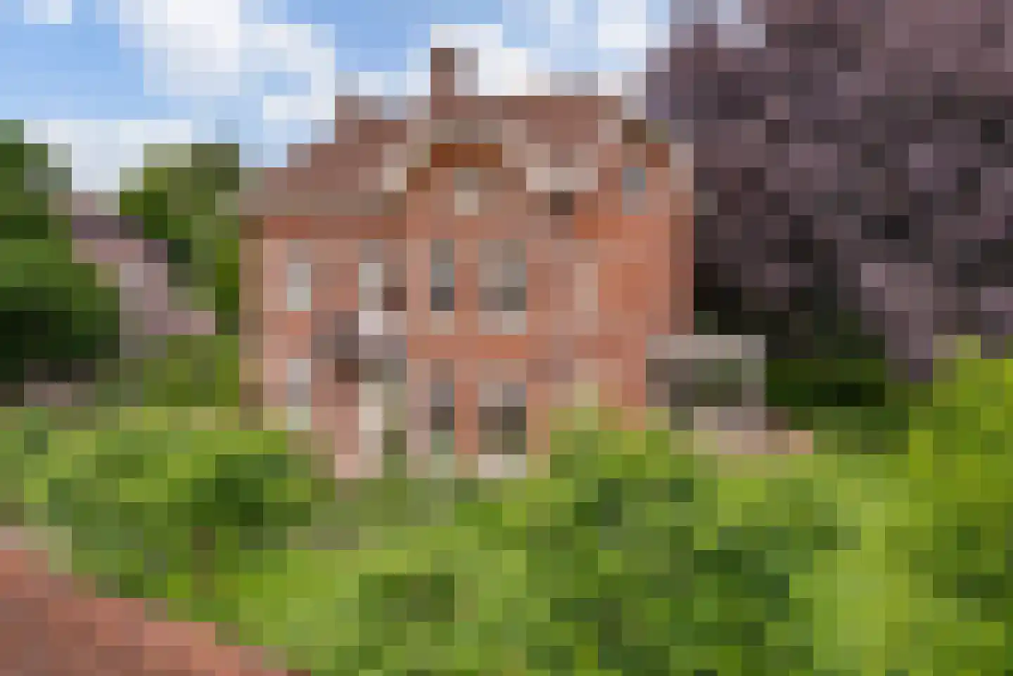 Strijthagerweg 15 Landgraaf thumbnail 92