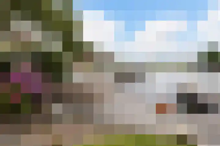 Strikel 18 Terherne thumbnail 12