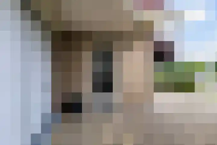 Strikel 18 Terherne thumbnail 17