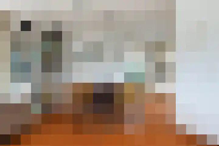 Strikel 18 Terherne thumbnail 26