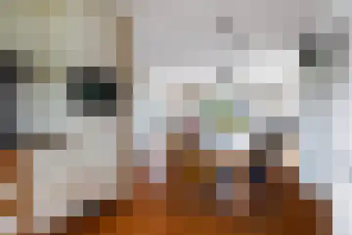 Strikel 18 Terherne thumbnail 29