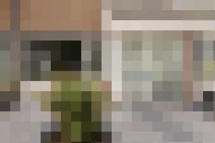 Strikel 8 Ureterp thumbnail 34