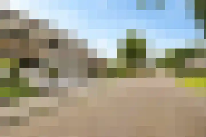 Strikel 8 Ureterp thumbnail 39