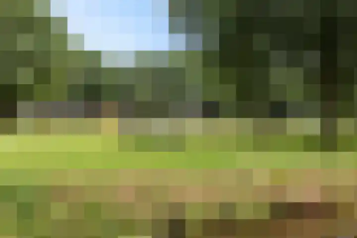 Strikel 8 Ureterp thumbnail 41