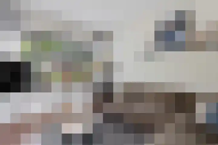 Strikel 8 Ureterp thumbnail 5