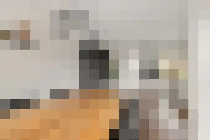 Strikel 8 Ureterp thumbnail 9