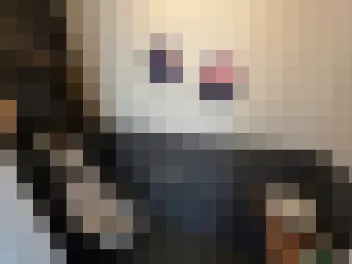 Strikkade 47 Pijnacker thumbnail 12