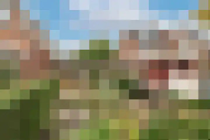 Stroband 2 Wijk bij Duurstede thumbnail 15