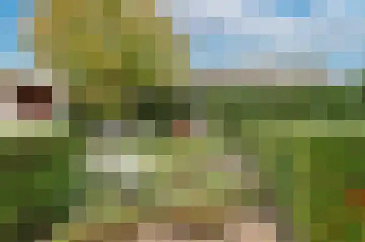 Stroband 2 Wijk bij Duurstede thumbnail 19