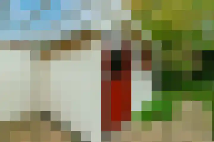 Stroband 2 Wijk bij Duurstede thumbnail 20
