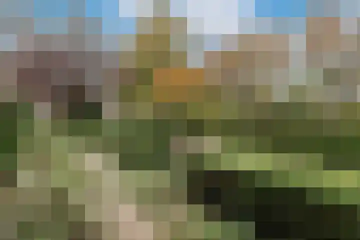 Stroband 2 Wijk bij Duurstede thumbnail 4