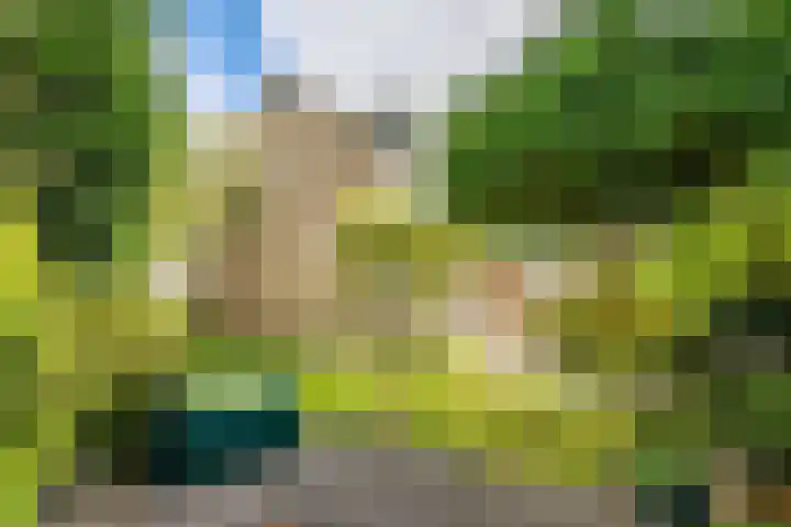 Strobloem 8 Leiden thumbnail 13