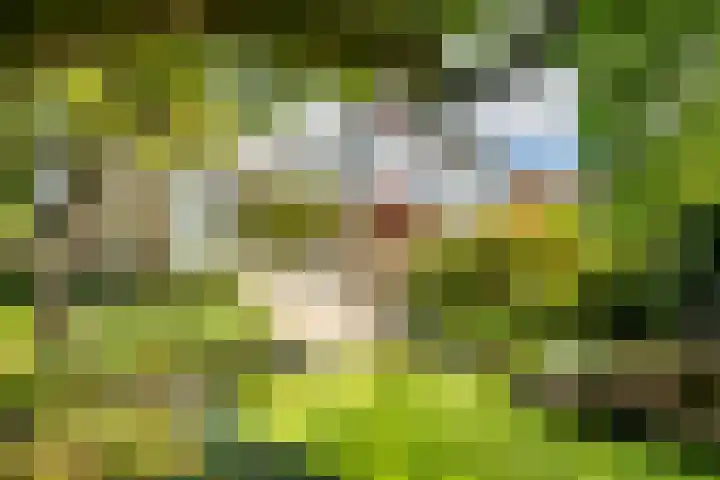 Strobloem 8 Leiden foto 2