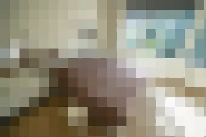 Strobloem 8 Leiden thumbnail 25