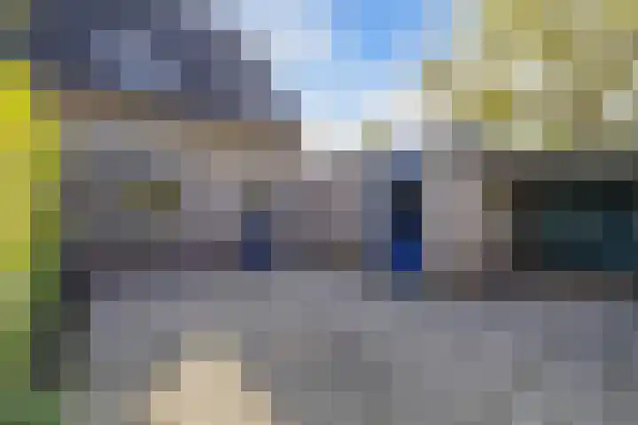 Strobloem 8 Leiden thumbnail 37