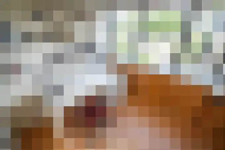 Strobloem 8 Leiden thumbnail 43