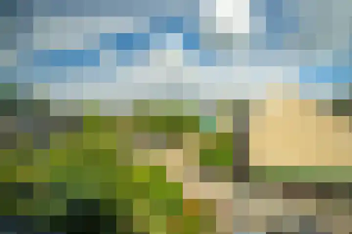 Strobloem 8 Leiden thumbnail 44