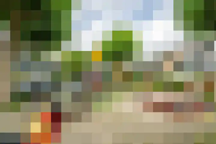 Strobloem 8 Leiden thumbnail 46