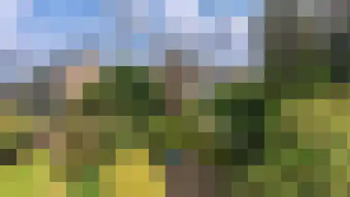 Strobloem 8 Leiden thumbnail 47